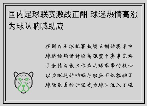 国内足球联赛激战正酣 球迷热情高涨为球队呐喊助威