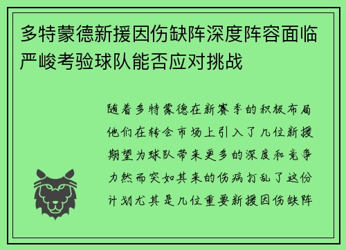 多特蒙德新援因伤缺阵深度阵容面临严峻考验球队能否应对挑战