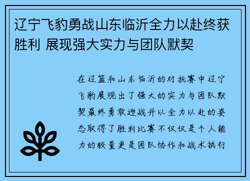 辽宁飞豹勇战山东临沂全力以赴终获胜利 展现强大实力与团队默契