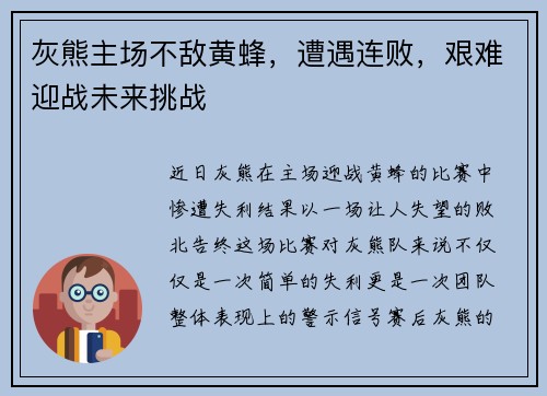 灰熊主场不敌黄蜂，遭遇连败，艰难迎战未来挑战