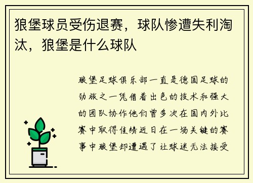 狼堡球员受伤退赛，球队惨遭失利淘汰，狼堡是什么球队