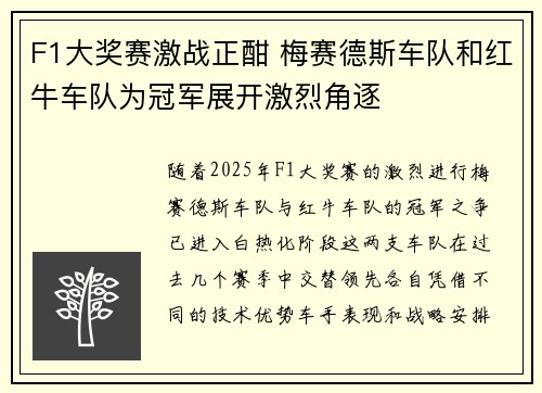F1大奖赛激战正酣 梅赛德斯车队和红牛车队为冠军展开激烈角逐