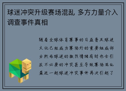 球迷冲突升级赛场混乱 多方力量介入调查事件真相