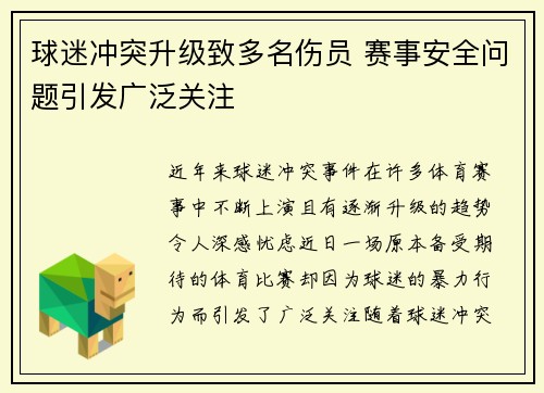 球迷冲突升级致多名伤员 赛事安全问题引发广泛关注